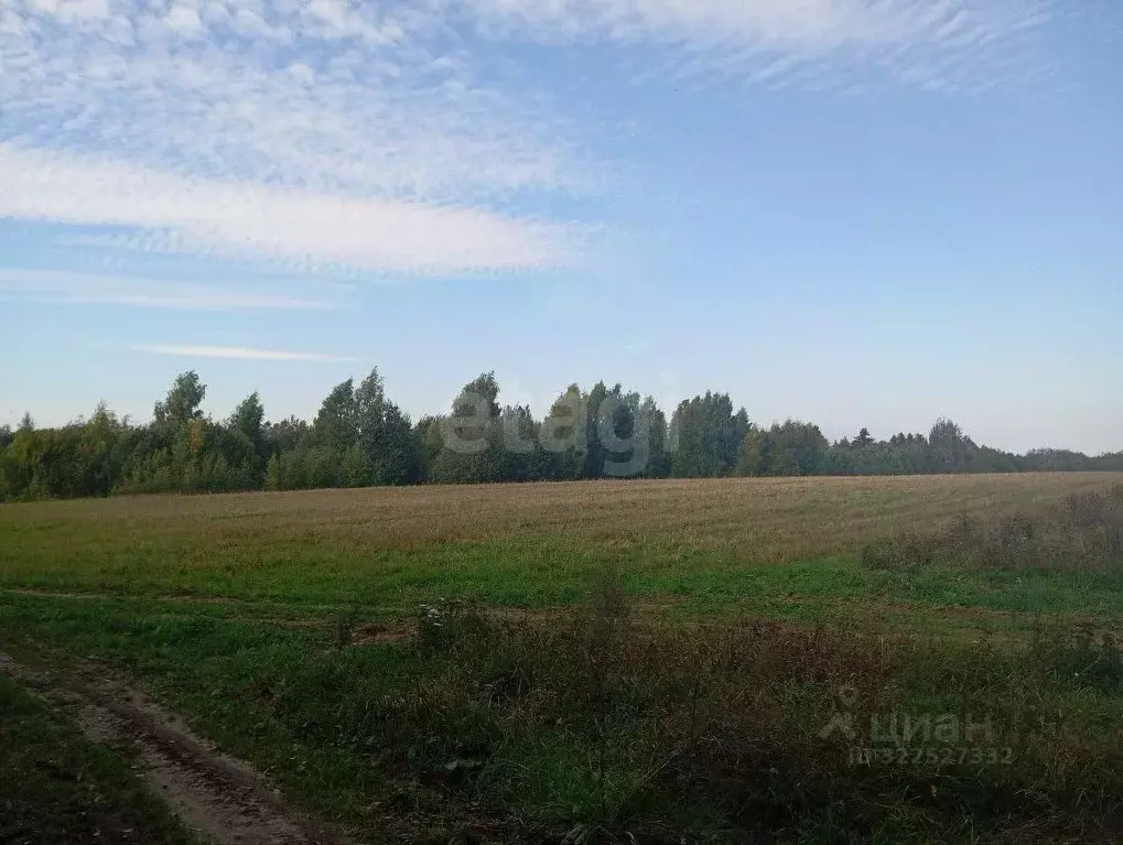 Участок в Ярославская область, Рыбинский муниципальный округ, д. ... - Фото 1