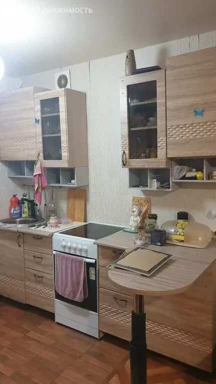 Квартира-студия: посёлок Знаменский, Берёзовая улица, 1 (27.7 м) - Фото 2