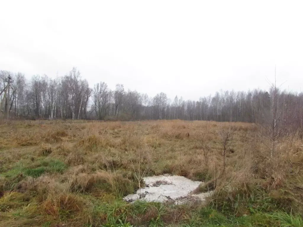 Участок в Московская область, Коломна городской округ, с. Бояркино  ... - Фото 1