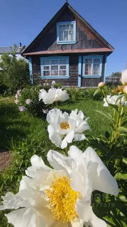 Дом в Марий Эл, Медведевский район, Сидоровское с/пос, Дружба СНТ, ... - Фото 0