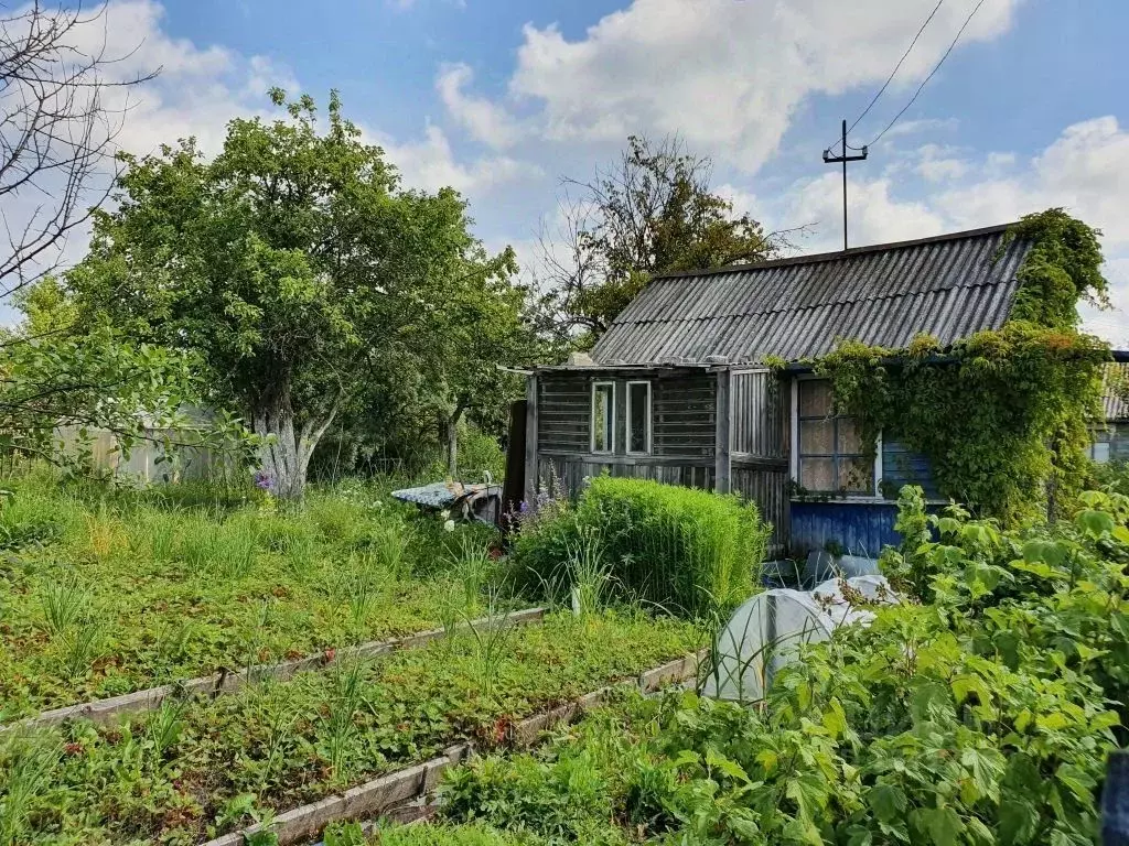 Участок в Ивановская область, Ивановский район, с. Ново-Талицы 1-я ... - Фото 1