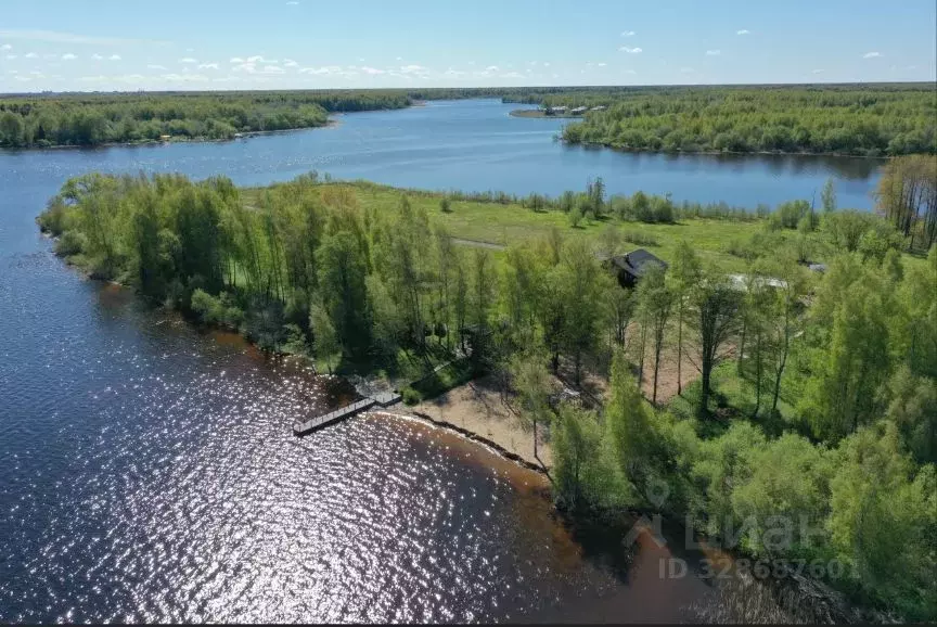 Участок в Тверская область, Конаковский муниципальный округ, Парадайз ... - Фото 2