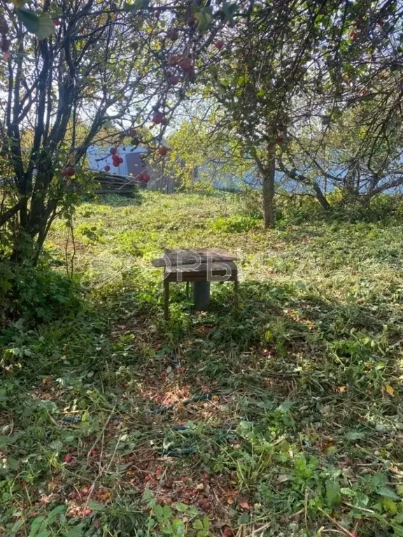 Участок в Тюменская область, Тюменский муниципальный округ, с. ... - Фото 1