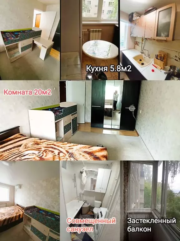 1-к кв. Тверская область, Тверь ул. Склизкова, 99 (30.3 м) - Фото 0