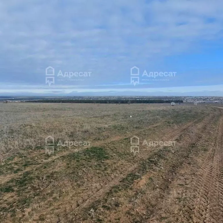 Участок в Волгоградская область, Дубовский район, Пичужинское с/пос, ... - Фото 2