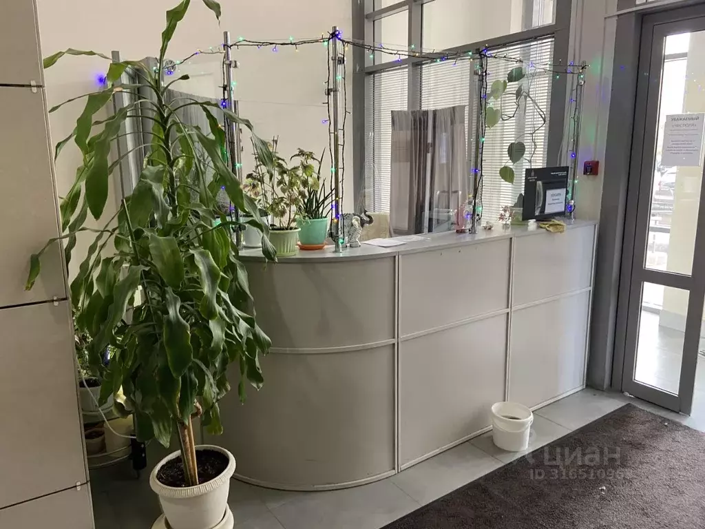 Студия Санкт-Петербург Выборгское ш., 17к1 (33.9 м) - Фото 1