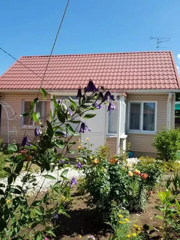 Дом в Краснодарский край, Анапа муниципальный округ, с. Витязево ул. ... - Фото 1