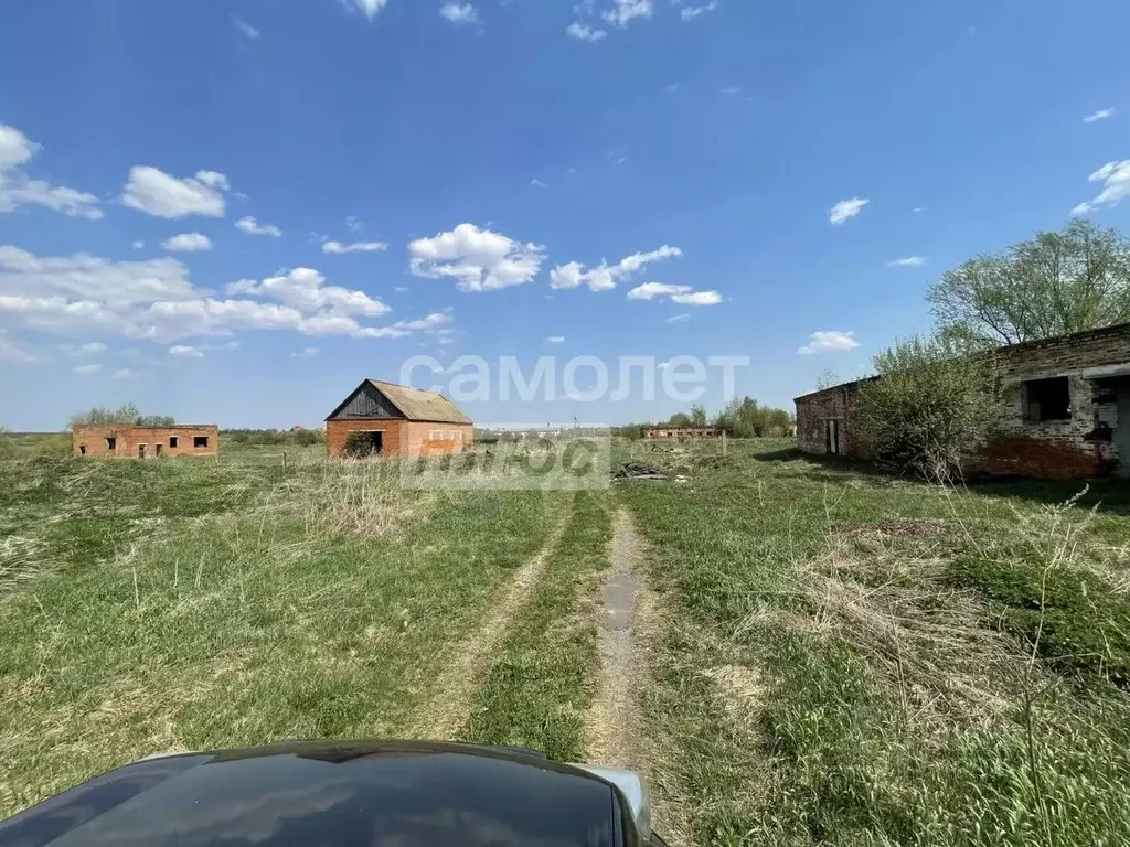 Производственное помещение в Московская область, Кашира городской ... - Фото 2