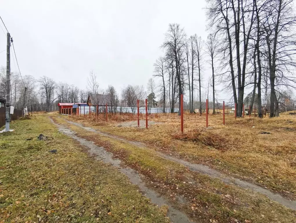 Участок в Тюменская область, Нижнетавдинский муниципальный округ, ... - Фото 1