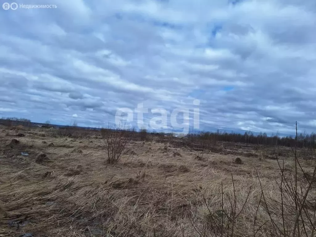 Участок в Тульская область, муниципальное образование Тула, село ... - Фото 1