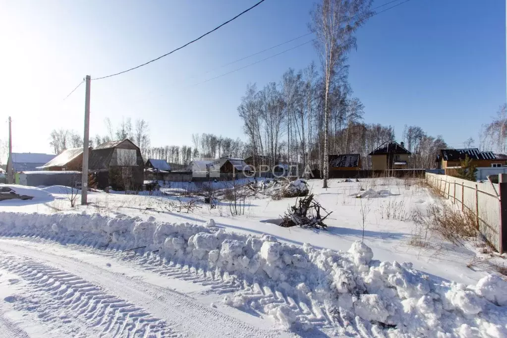 Участок в Новосибирская область, Новосибирский район, Криводановский ... - Фото 0