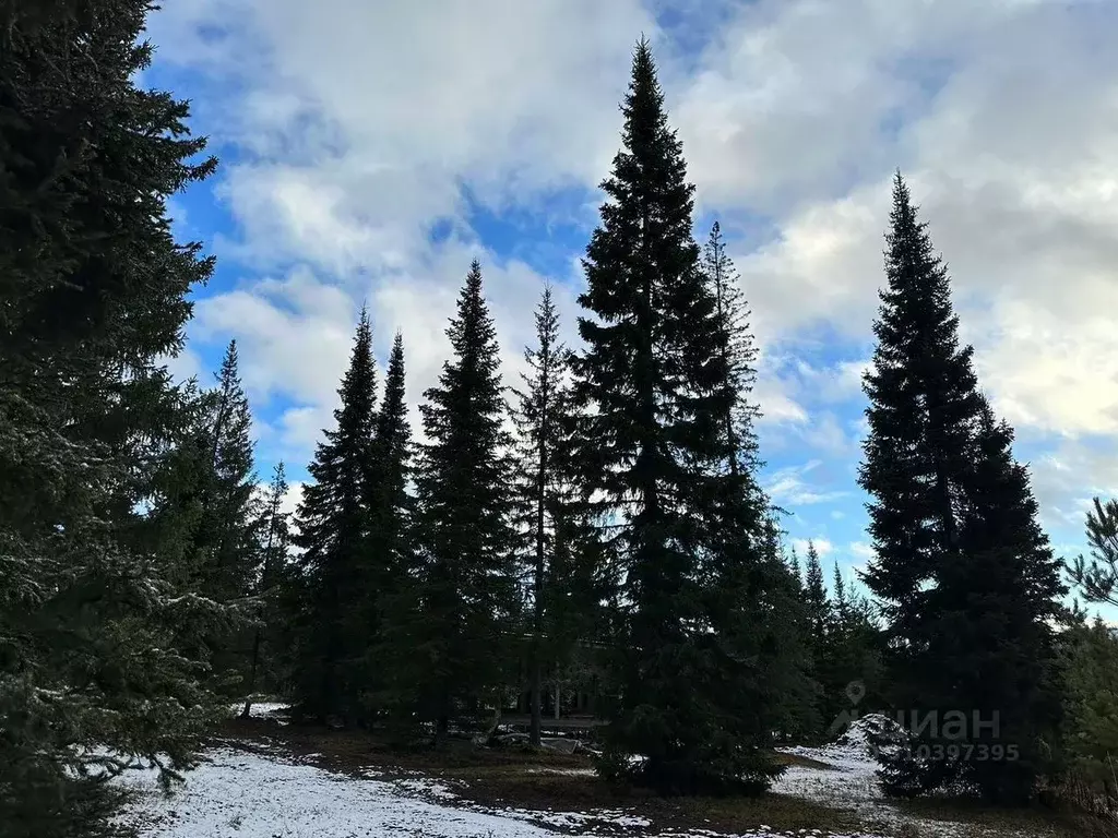 Дом в Свердловская область, Нижнесергинский район, Дружининское ... - Фото 1