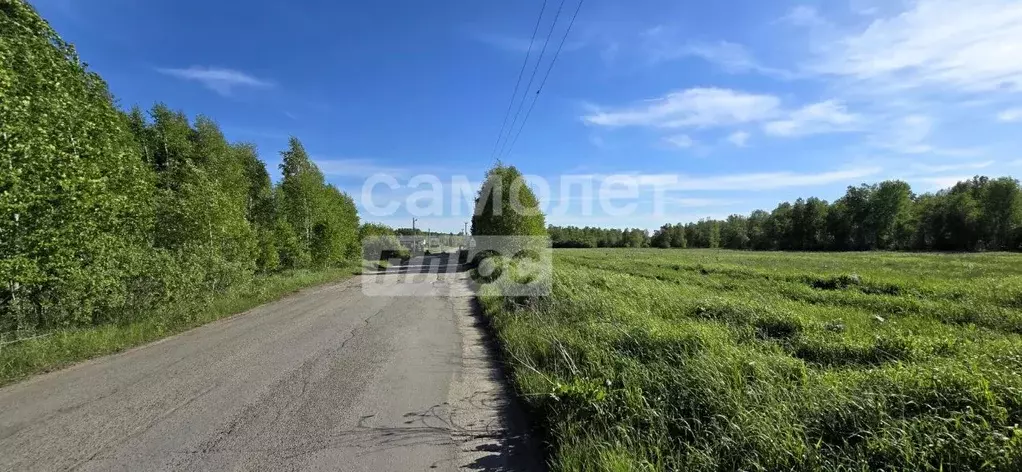 Участок в Челябинская область, Сосновский район, Кременкульское с/пос, ... - Фото 1