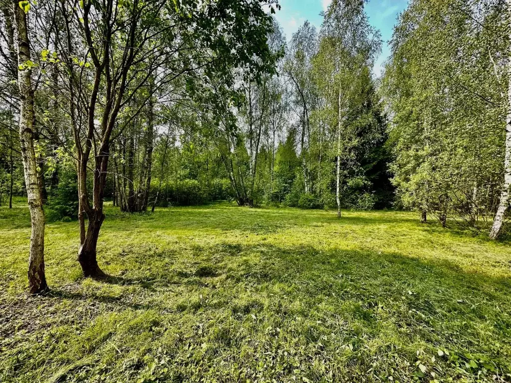 Участок в Московская область, Одинцовский городской округ, пос. ... - Фото 1