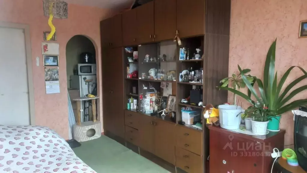 Комната Мурманская область, Мурманск ул. Ломоносова, 5 (31.0 м) - Фото 2