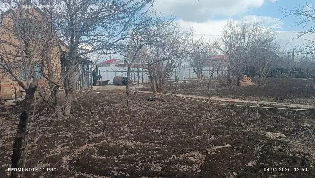 Участок в Ивановский сельсовет, СНТ Эллегия, 94 (10 м) - Фото 2