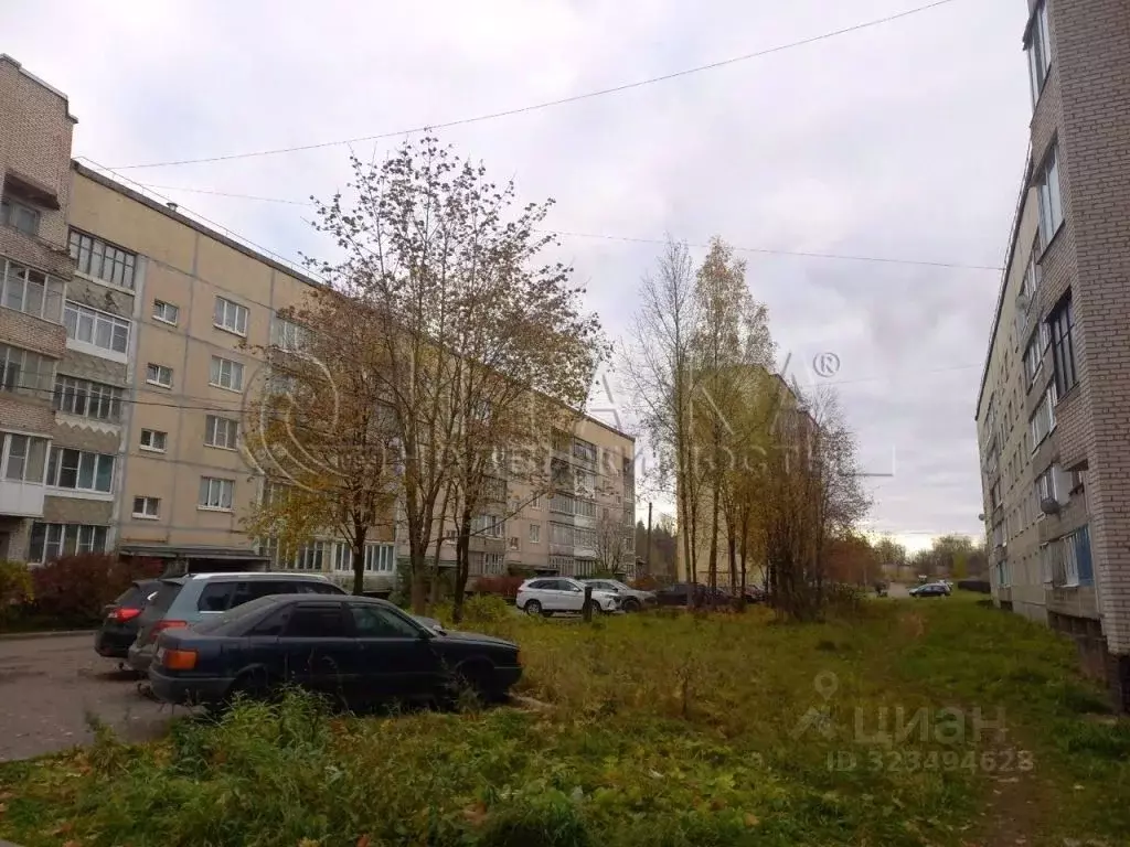 3-к кв. Ленинградская область, Пикалево г. Бокситогорский район, ... - Фото 2