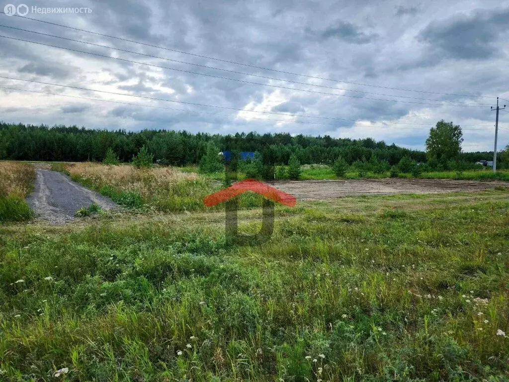 Участок в Красноярский край, Емельяновский муниципальный округ, ... - Фото 2