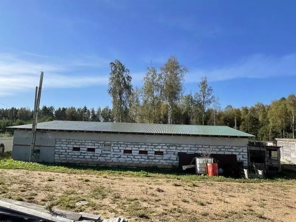 Участок в Новгородская область, Валдай Лесхозная ул. (15.0 сот.) - Фото 1