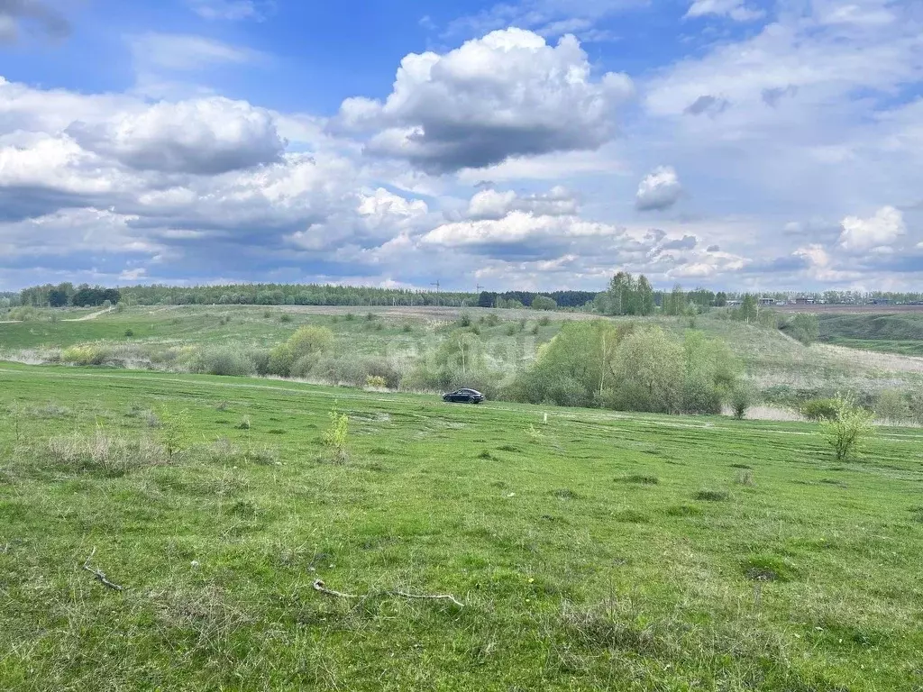 Толмачево брянская. Село Толмачево Брянская область. Толмачево Брянская область. Село Толмачево Брянская область фото.