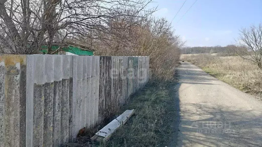 Дом в Белгородская область, Белгородский район, с. Стрелецкое, ... - Фото 0