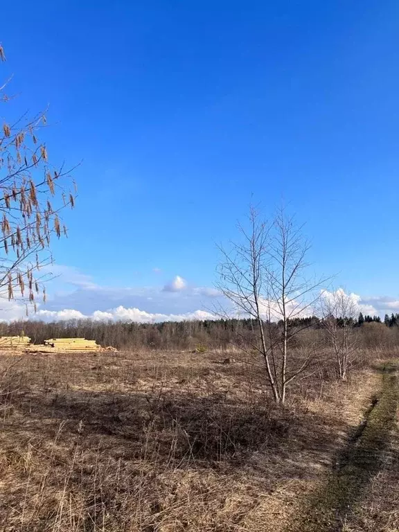 Участок в Московская область, Можайский городской округ, д. Бурцево  ... - Фото 1