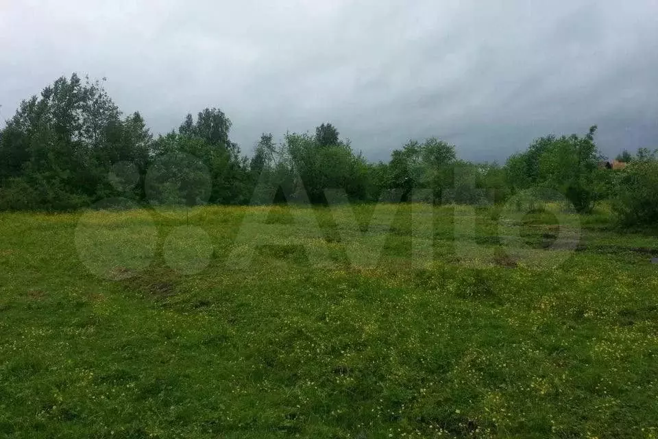 Участок 6,5 сот. (ИЖС) - Фото 0