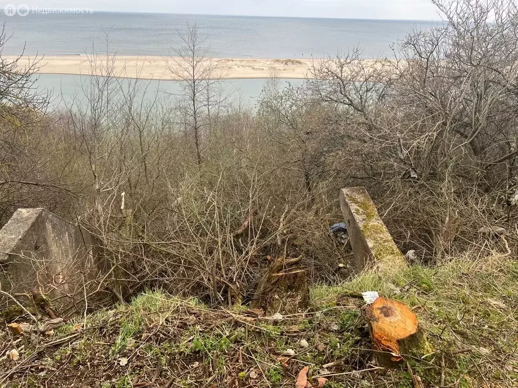 Участок в Калининградская область, посёлок городского типа Янтарный ... - Фото 1
