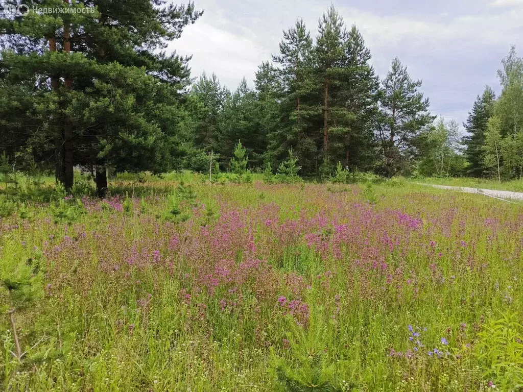 Участок в село Ильинский Погост, Садовая улица (15 м) - Фото 0