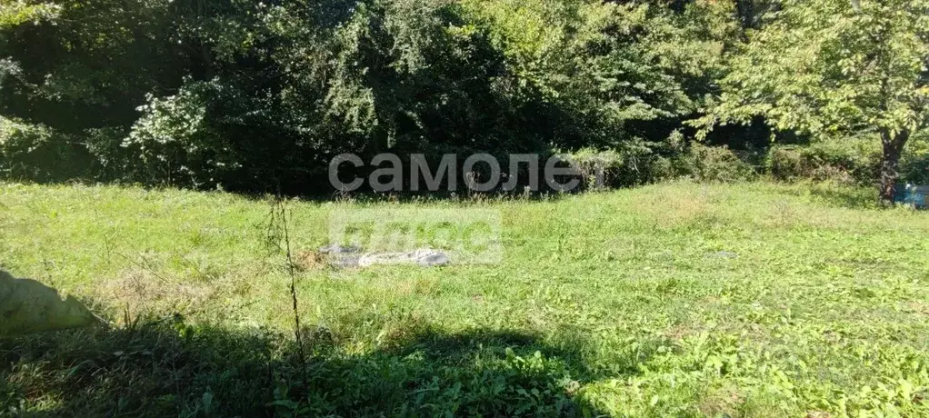 Участок в Краснодарский край, Туапсинский муниципальный округ, с. ... - Фото 2