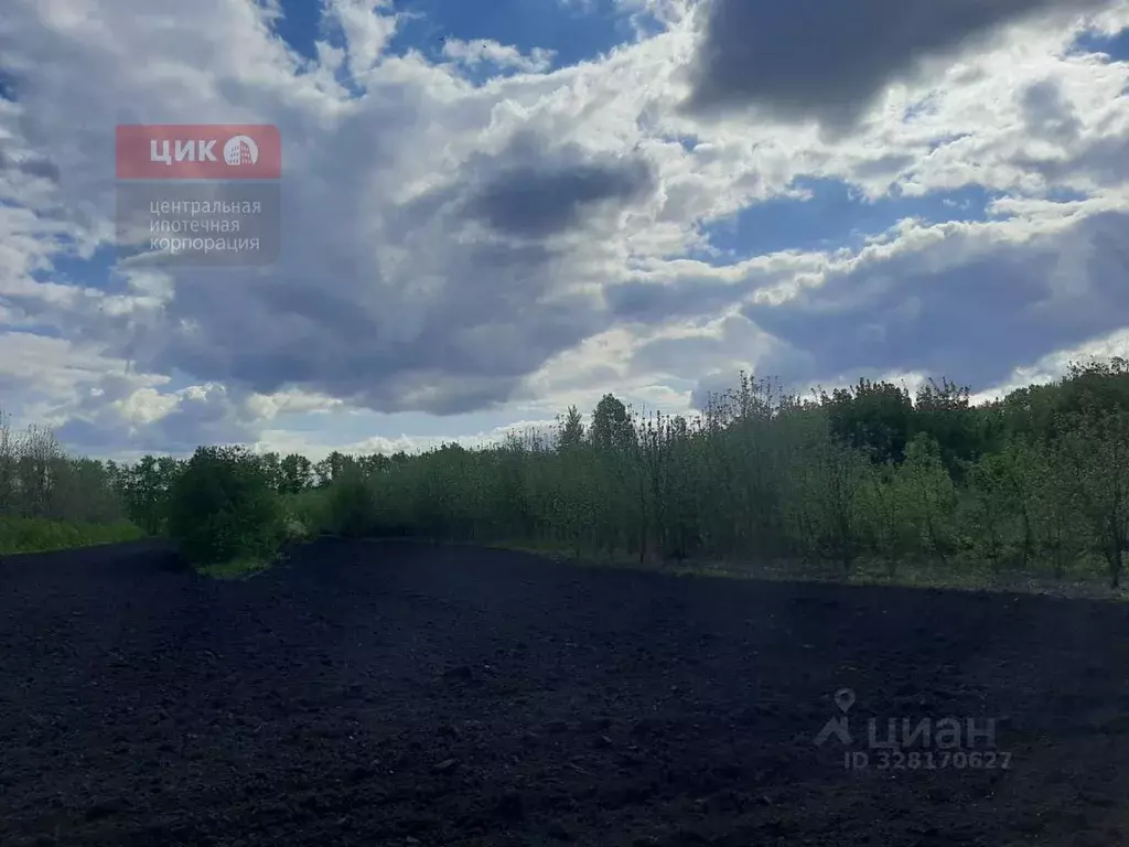 Участок в Рязанская область, Михайловский муниципальный округ, д. ... - Фото 2