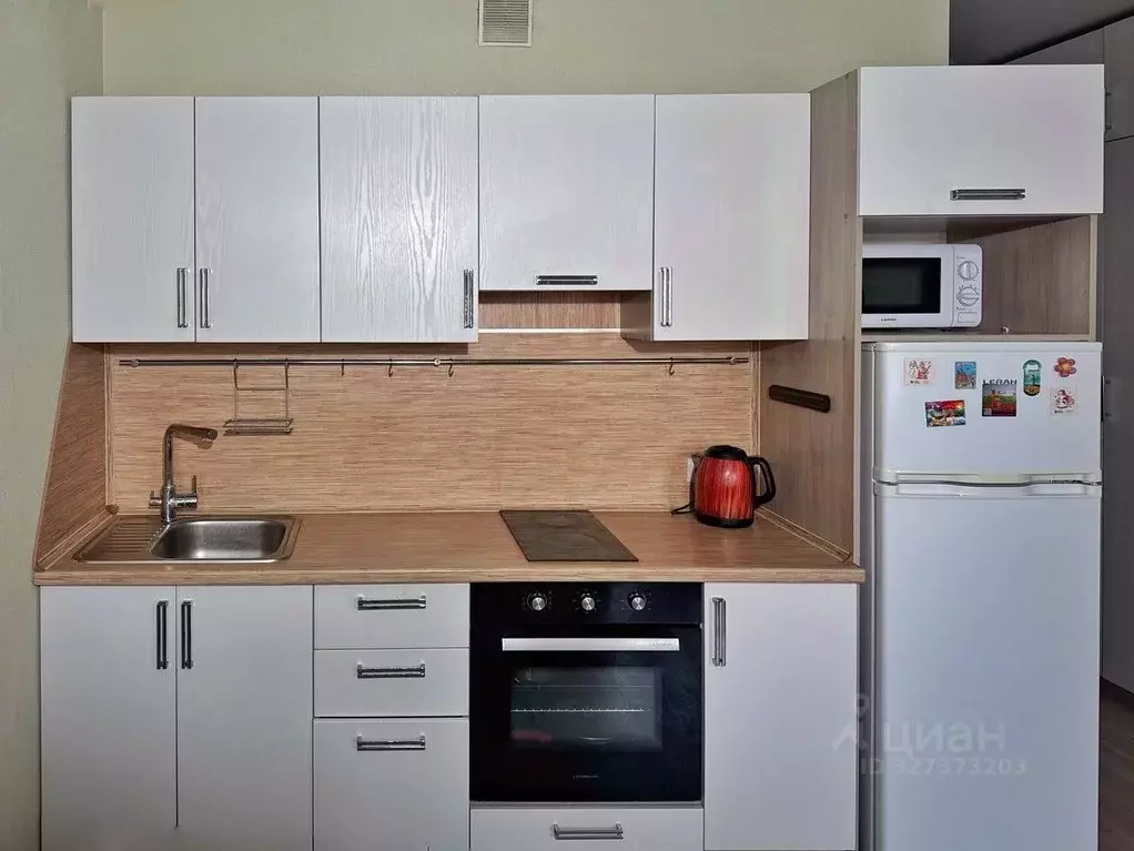 Студия Башкортостан, Уфа Коммунистическая ул., 98/1 (25.3 м) - Фото 2