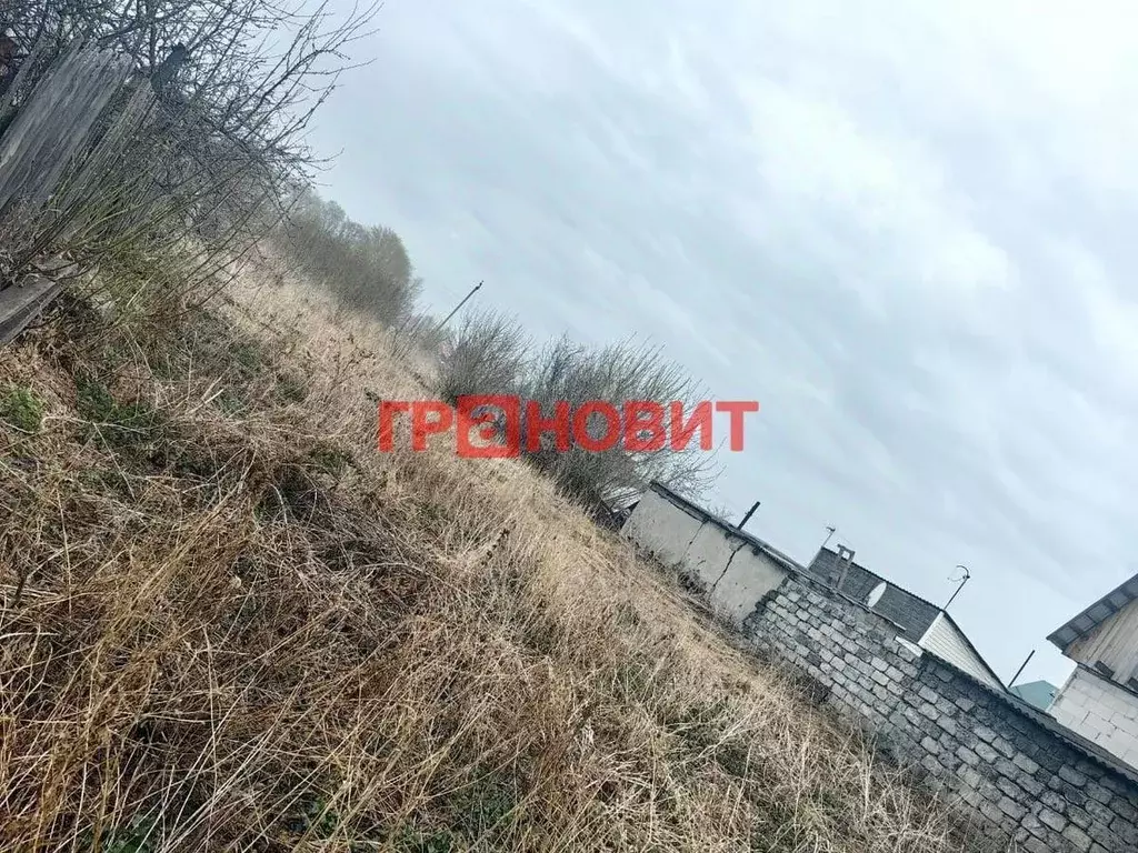 Участок в Новосибирская область, Коченево рп ул. Максима Горького, 64 ... - Фото 1