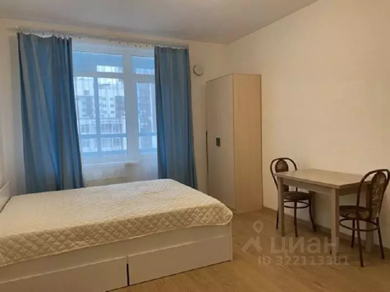 Студия Санкт-Петербург аллея Арцеуловская, 23к1 (25.0 м) - Фото 0