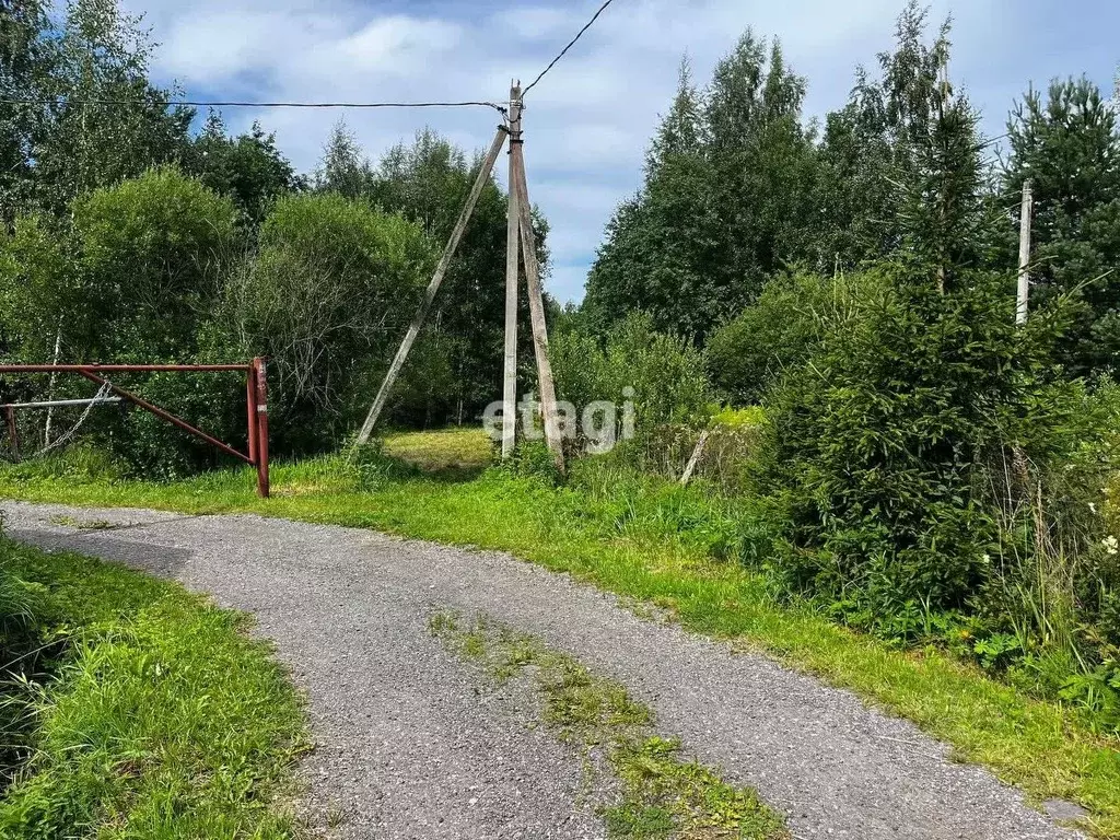 Участок в Ленинградская область, Ломоносовский район, Лебяженское ... - Фото 0