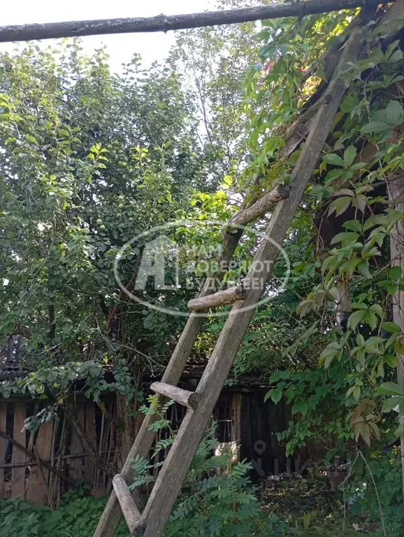 Дом в Удмуртия, Глазовский район, д. Адам Восточная ул., 15 (60 м) - Фото 1