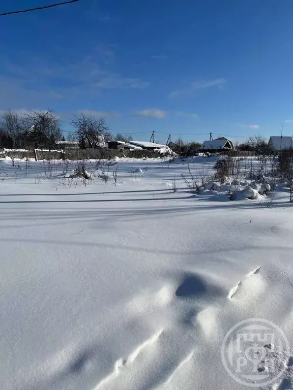Участок в Ленинградская область, Лужский район, Заклинское с/пос, д. ... - Фото 1