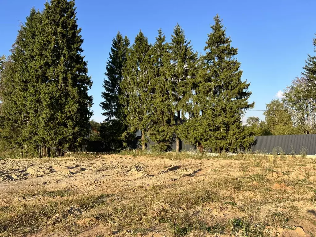 Участок в Московская область, Пушкино Мамонтовка мкр, ул. Елочки (8.5 ... - Фото 2