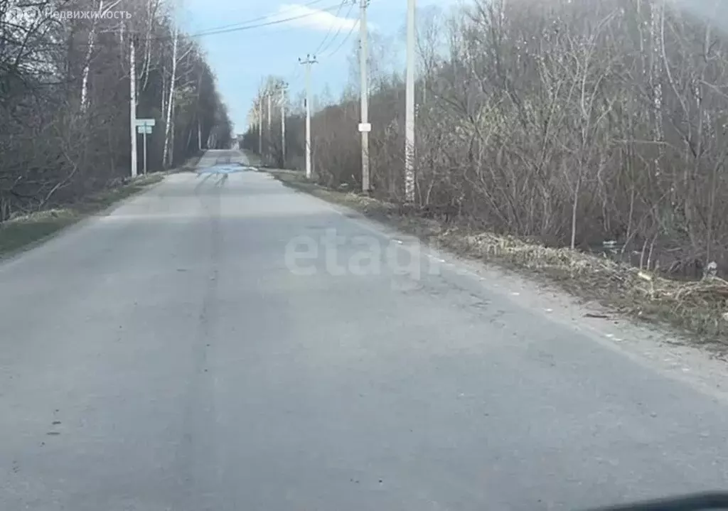 Участок в Московская область, Раменский муниципальный округ, село ... - Фото 2