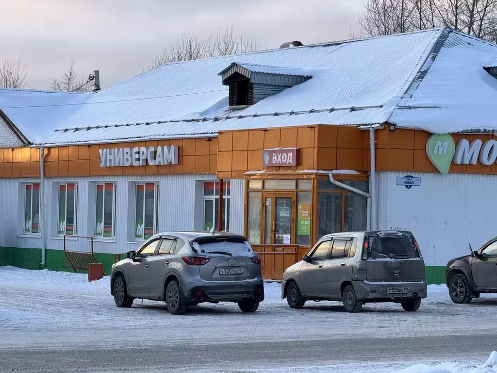 Помещение свободного назначения в Свердловская область, Горноуральский ... - Фото 1