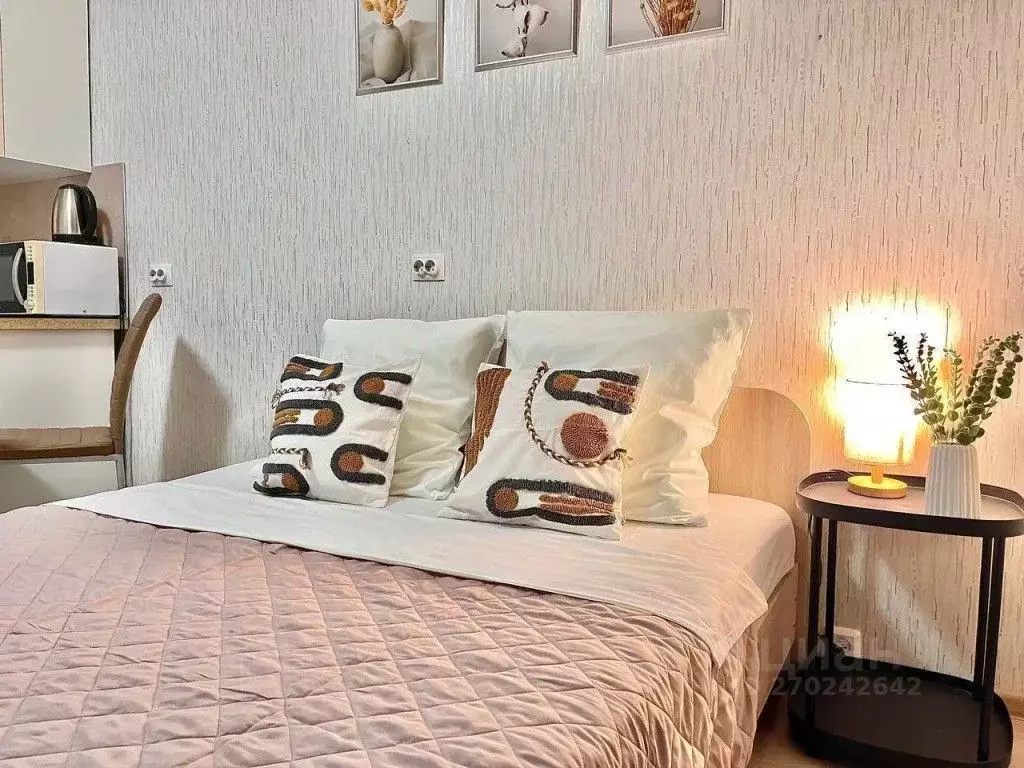 1-к кв. Пермский край, Пермь ул. Революции, 52В (30.0 м) - Фото 1