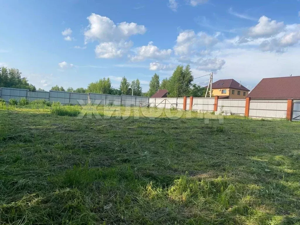 Участок в Новосибирская область, Искитимский район, Морозовский ... - Фото 1