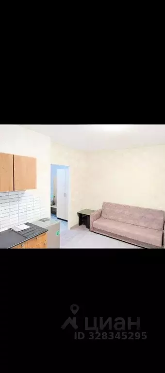 Студия Пермский край, Пермь ул. Нижне-Курьинская, 38 (21.0 м) - Фото 1