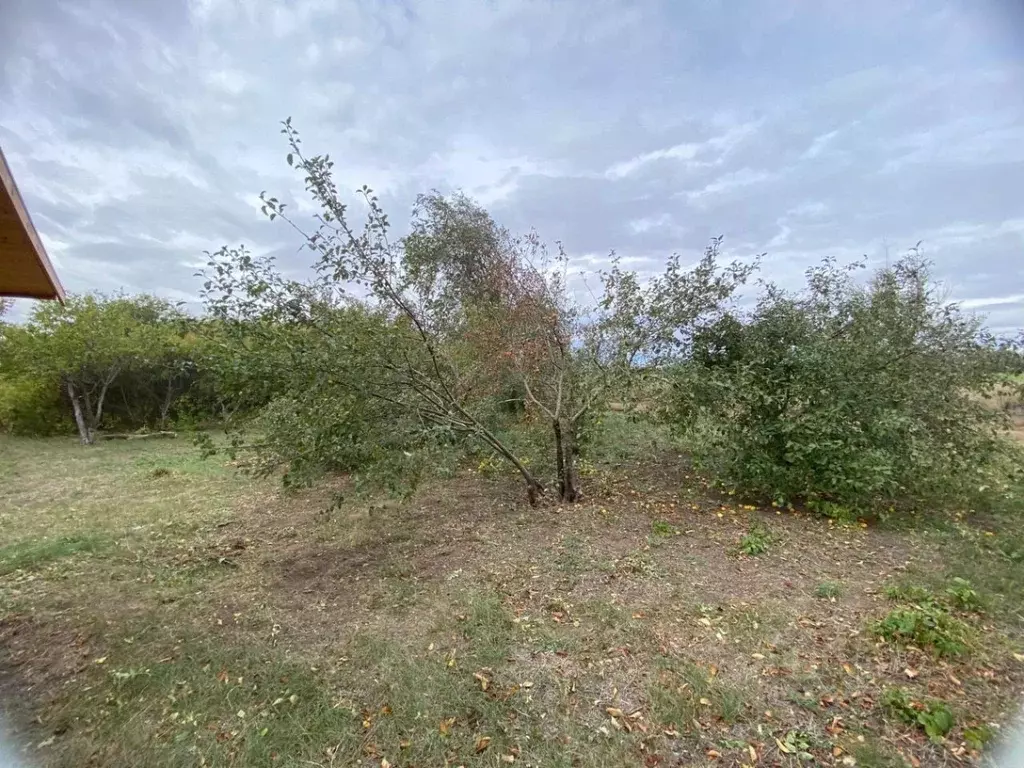 Участок в Ростовская область, Родионово-Несветайский район, ... - Фото 2