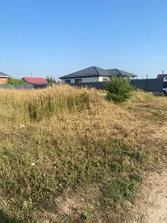 Участок в Краснодарский край, Анапа муниципальный округ, с. Витязево ... - Фото 0