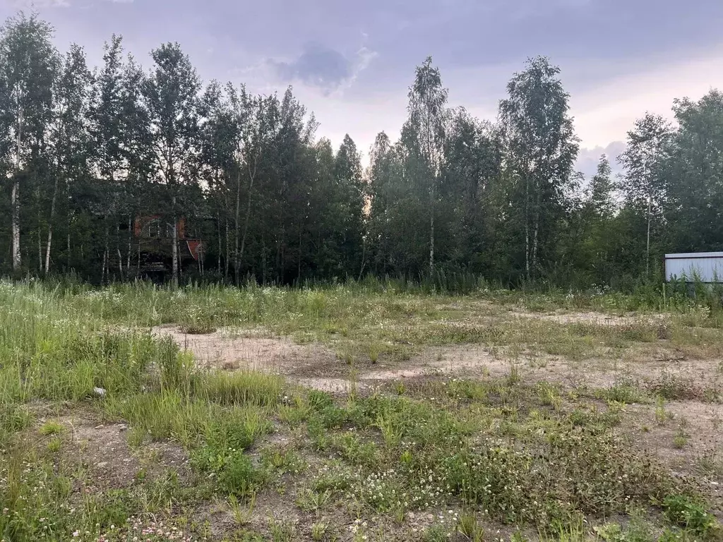 Участок в Московская область, Лосино-Петровский городской округ, д. ... - Фото 0