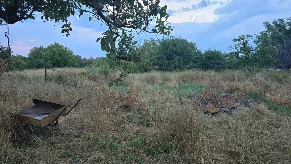 Участок в Краснодарский край, Красноармейский район, Полтавская ст-ца ... - Фото 0