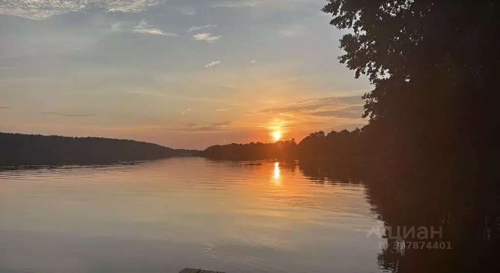 Участок, 15 сот., сельхоз (снт или днп) - Фото 1