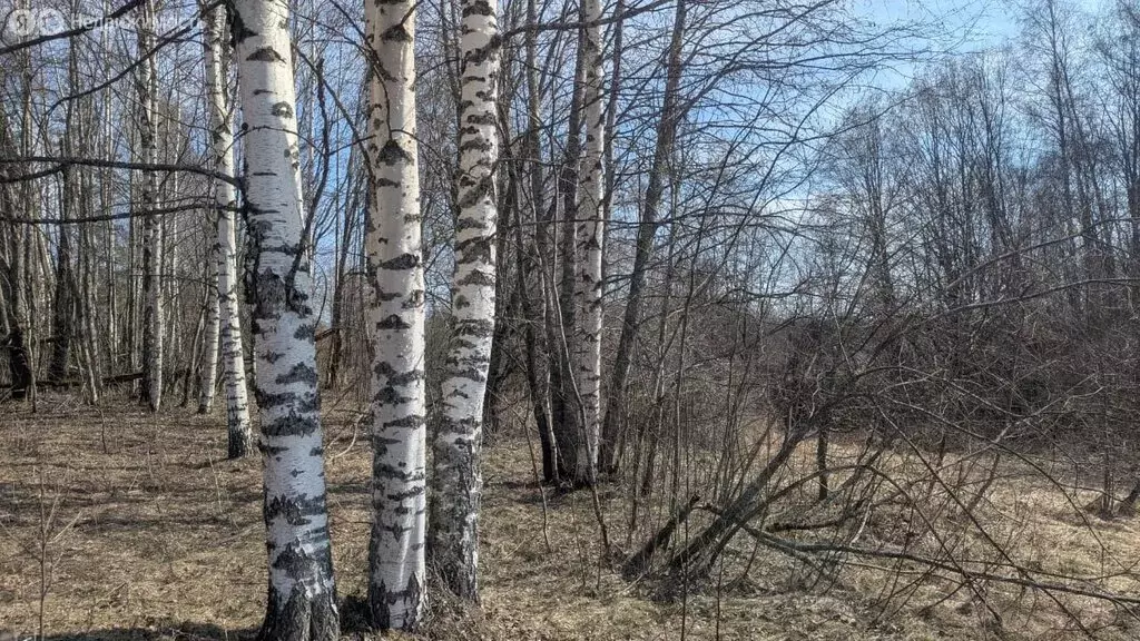 Участок в Новгородская область, Демянский муниципальный округ, деревня ... - Фото 1