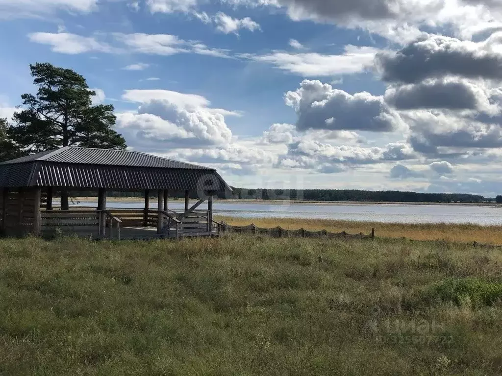 Дом в Алтайский край, Каменский район, с. Дресвянка Школьная ул., 86 ... - Фото 1